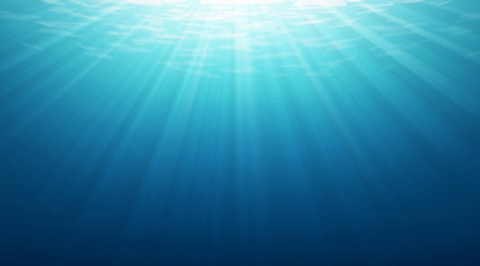 Tips to a successful underwater shoot...