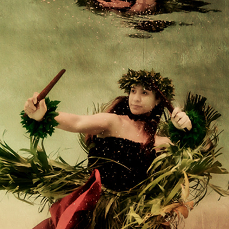 Hawaiian Hula Wahine 003