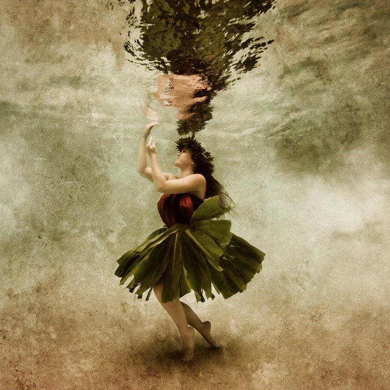 Hawaiian Hula Wahine 004