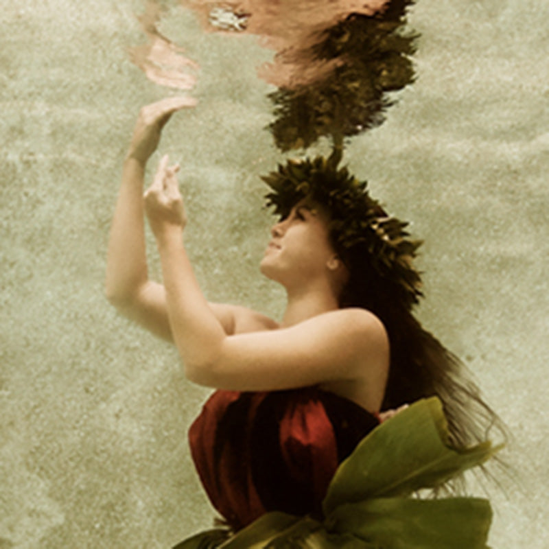 Hawaiian Hula Wahine 004
