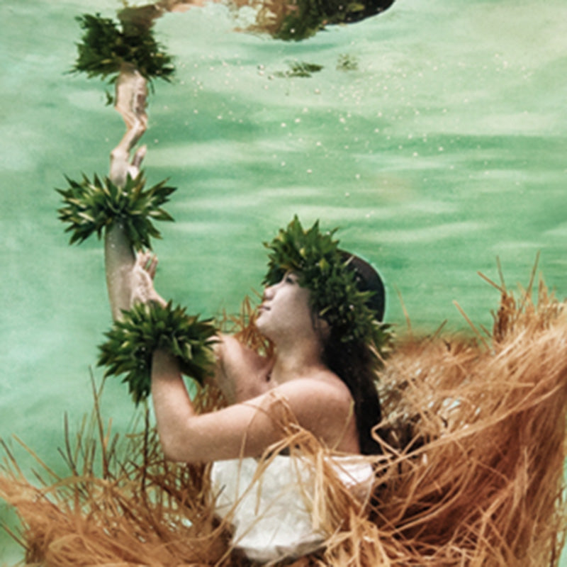 Hawaiian Hula Wahine 009