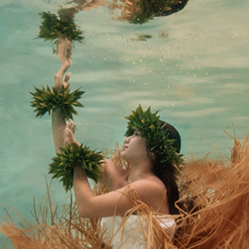 Hawaiian Hula Wahine 010
