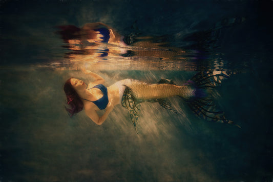 fine Art Image Underwater Mermaid