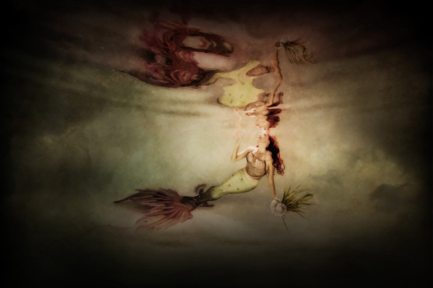 fine Art Image Underwater Mermaid